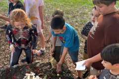 photo_2025-10-12_20-55-12